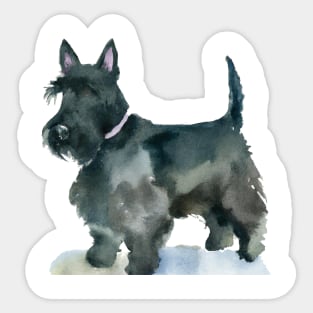 Scottish Terrier Watercolor Painting Sticker